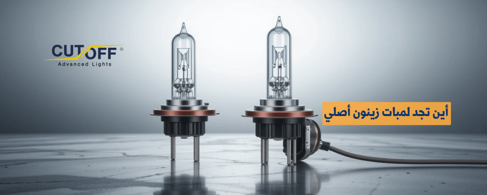 أين تجد لمبات زينون أصلي؟ دليل التسوق لأفضل الأسعار