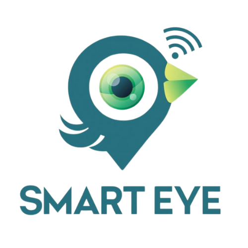 SMART EYE