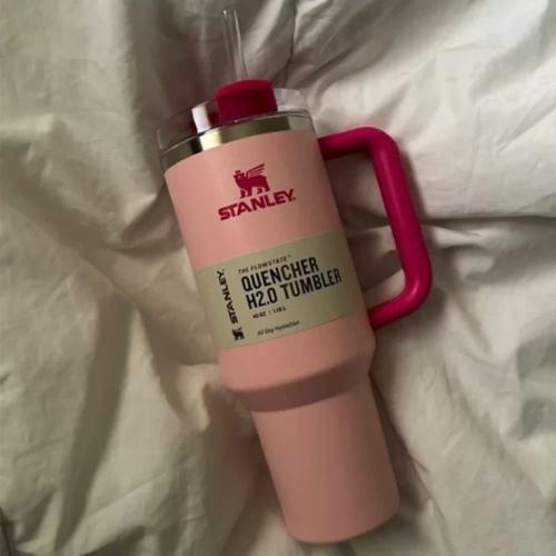 Flamingo Stanley mug