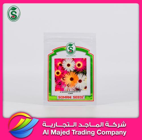 أو بي ميسمبريانتيمام ميد داي