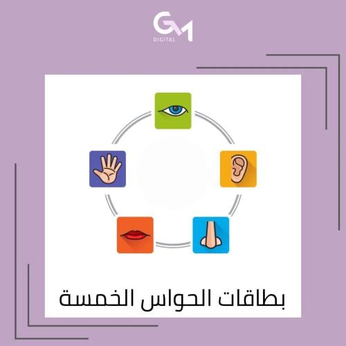 بطاقات الحواس الخمس ملف pdf