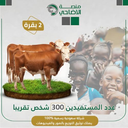 بقر عدد ٢