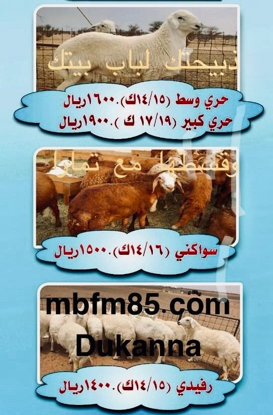 لحوم دكاننا