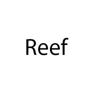 Reef
