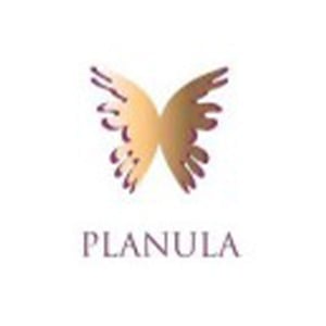 Planula