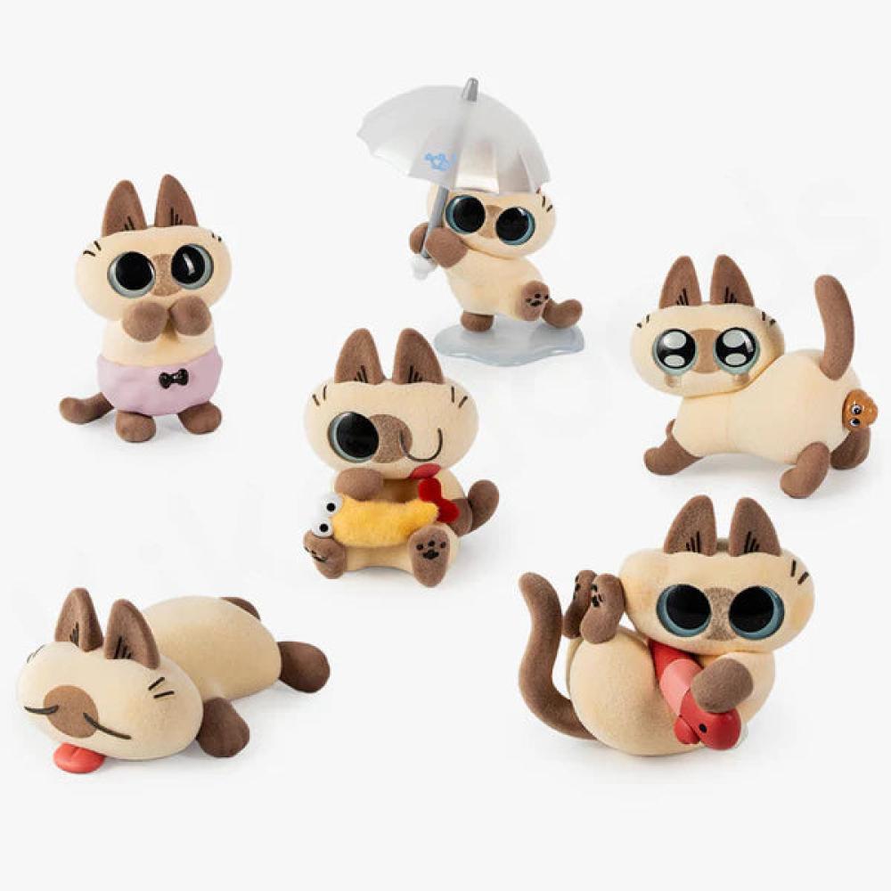 علبة مفاجآت قطط سيامية