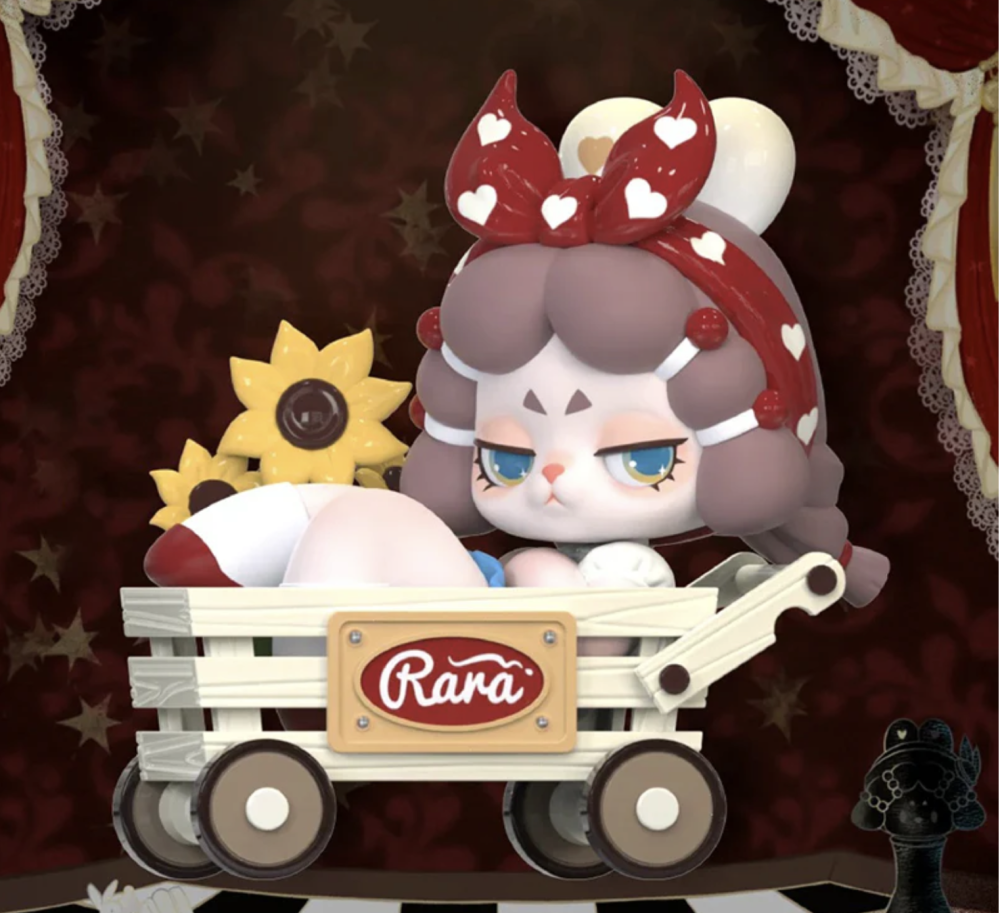 Mystery Box Dodo Nami  The Protagonist of Your Story