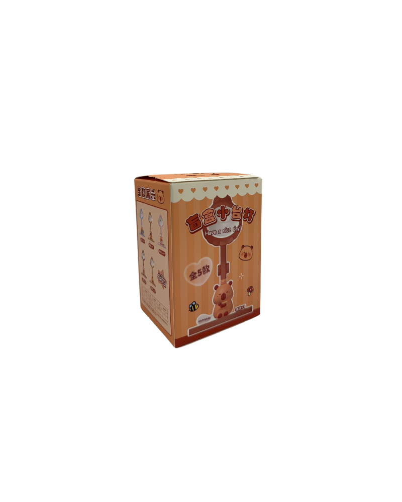 Mystery Box Capybara with LED Light