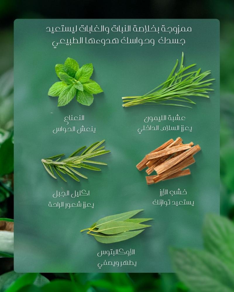 Body Lotions | Spa Ceylon