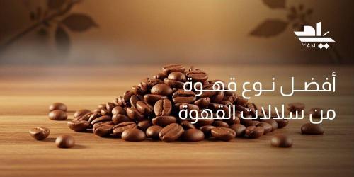 أفضل نوع قهوة من سلالات القهوة