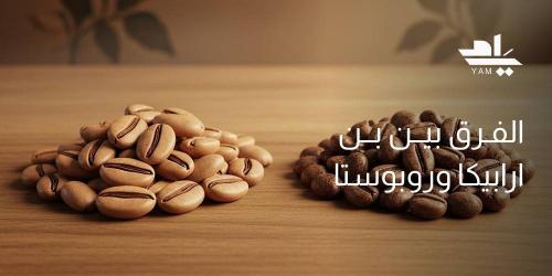 الفرق بين بن ارابيكا وروبوستا