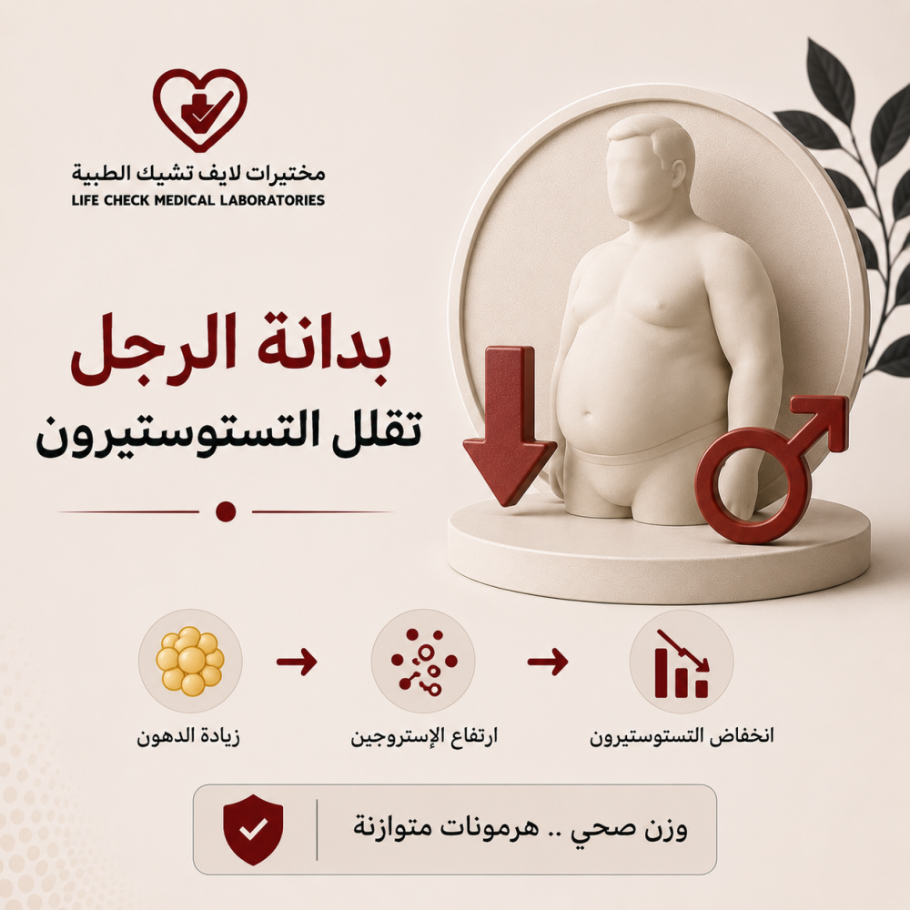 بدانة الرجل والهرمونات: كيف تؤثر الأنسجة الدهنية على مستوى التستوستيرون؟