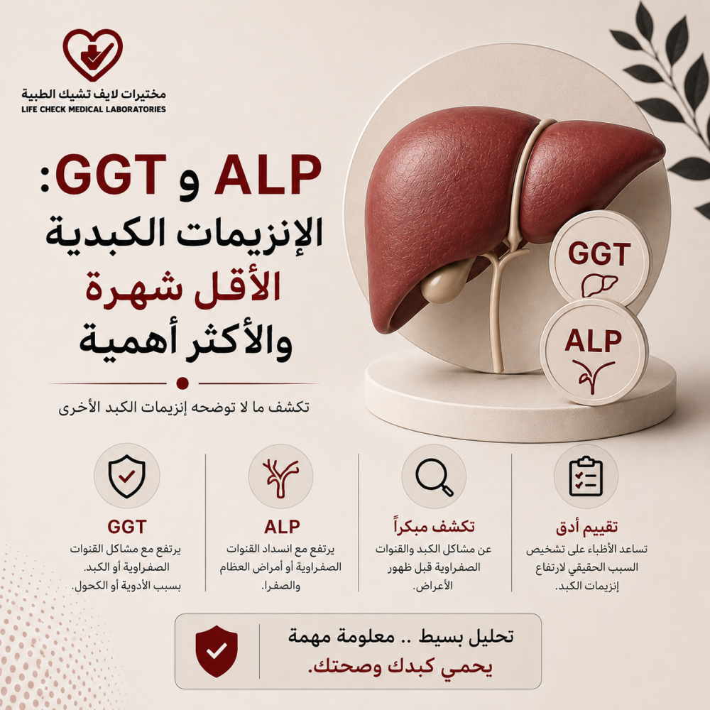 GGT وALP: الإنزيمات الكبدية الأقل شهرة والأكثر أهمية