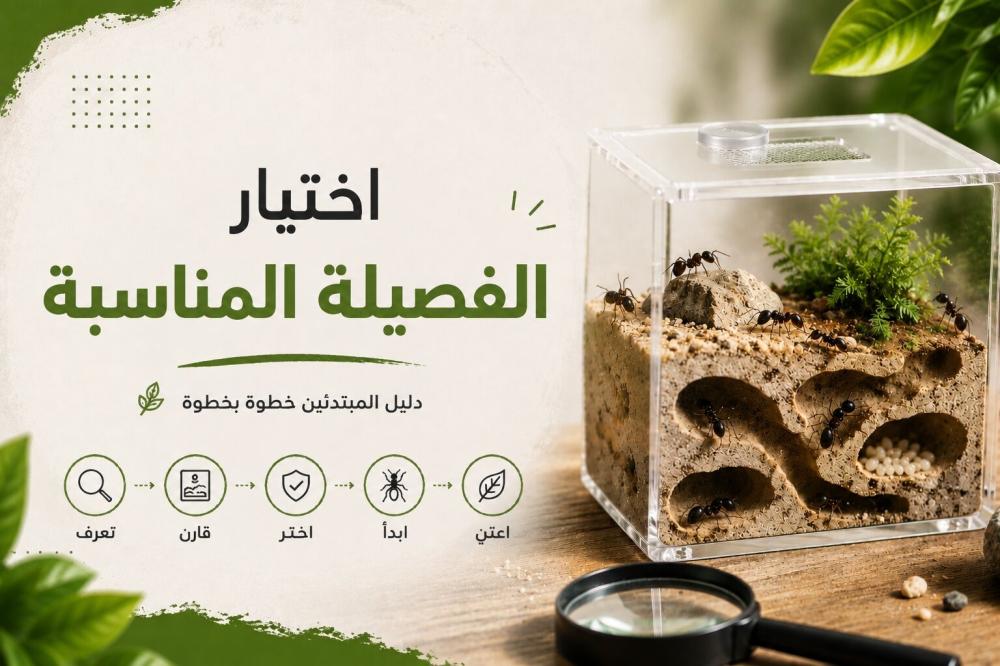 اختيار الفصيلة المناسبة