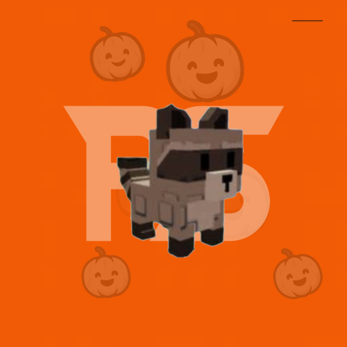 raccon