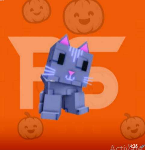moon cat