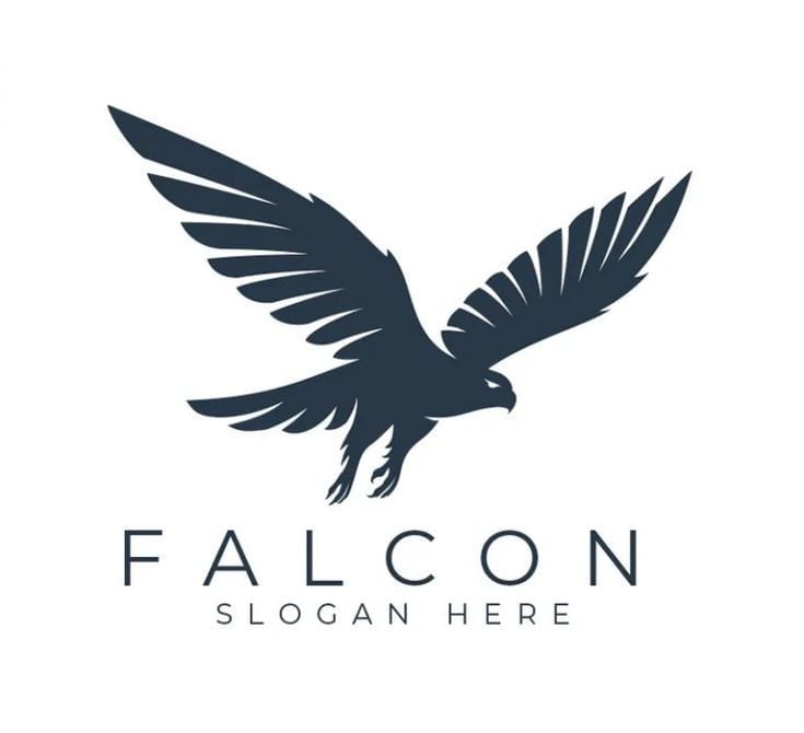 Fly Falcon-فالكون