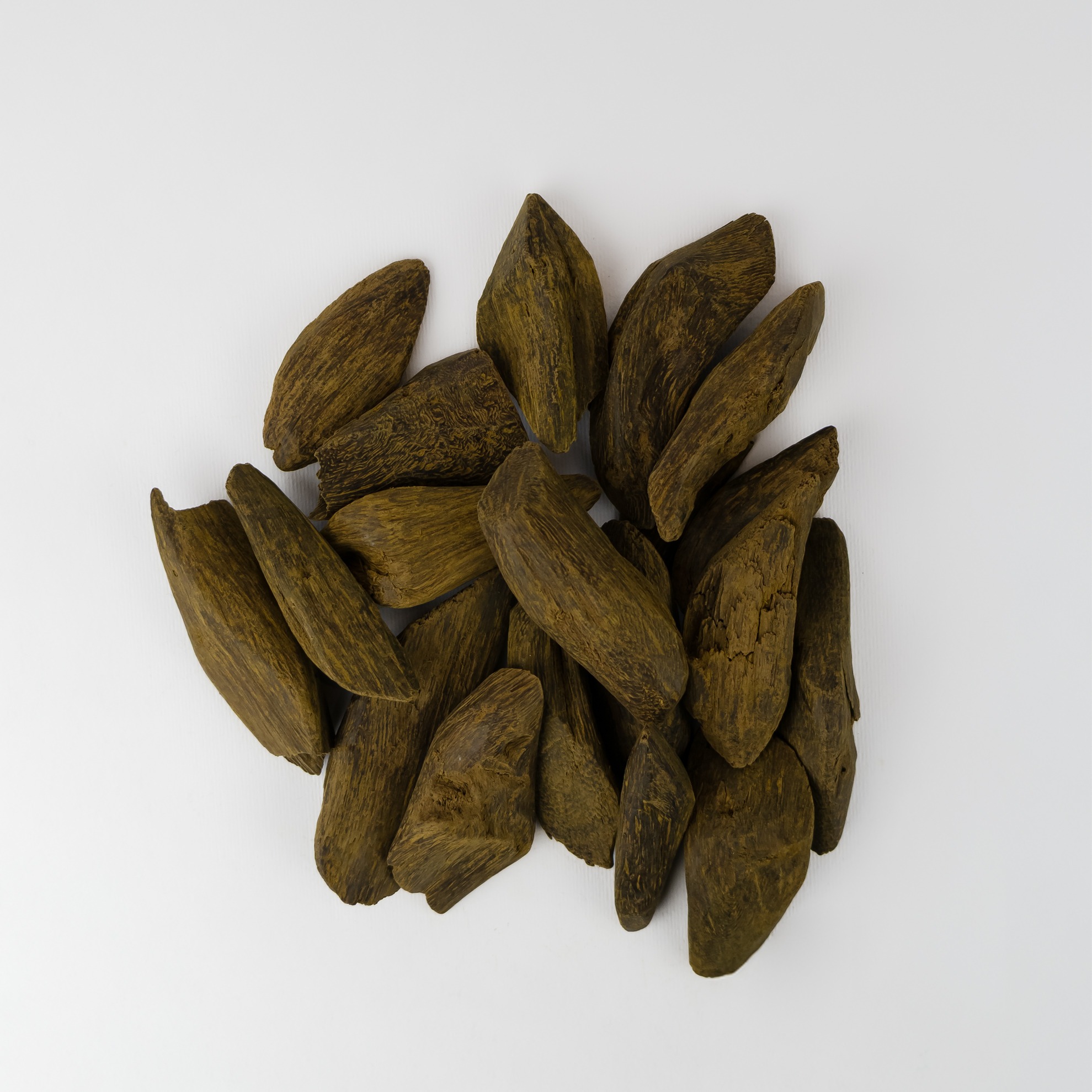 عود سوبر موروكي