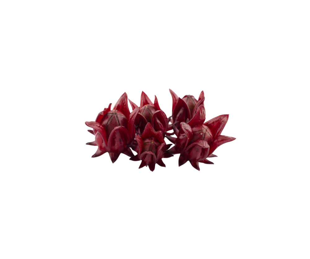 كركديه طازج