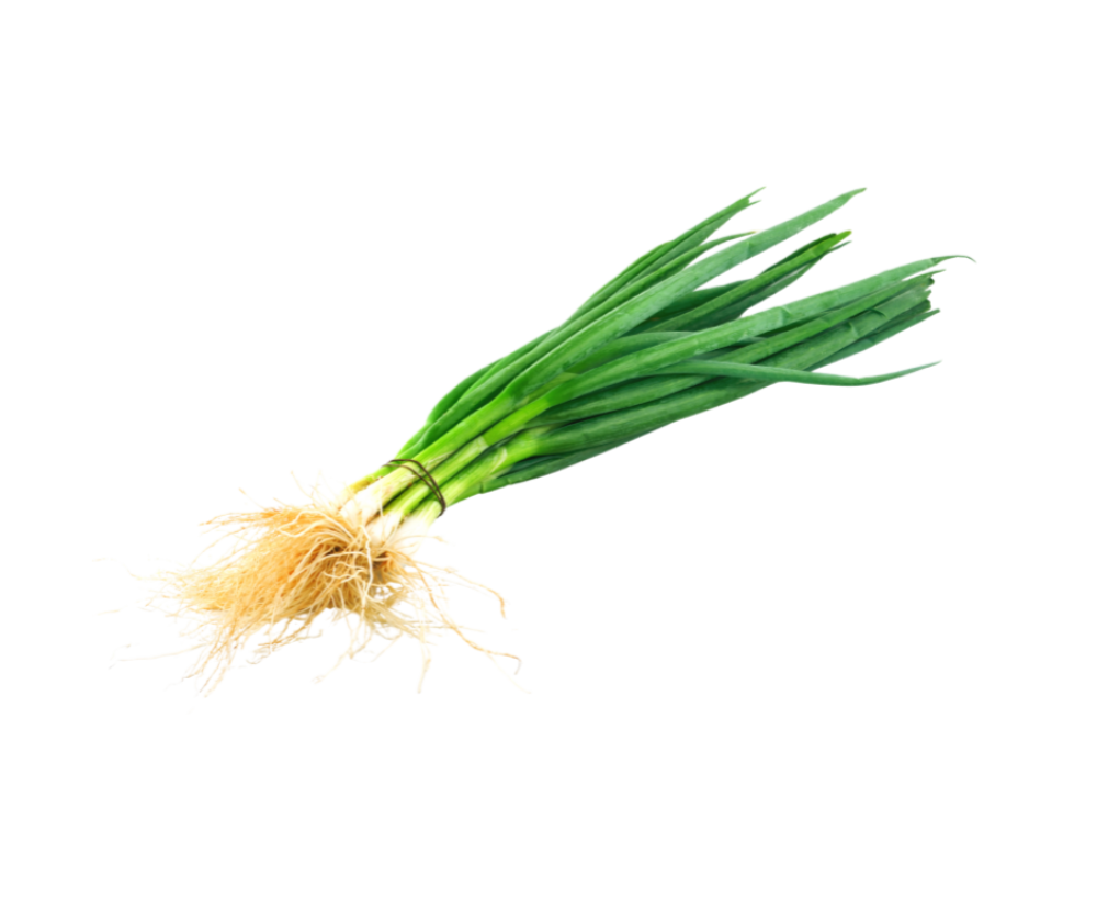 بصل أخضر طازج