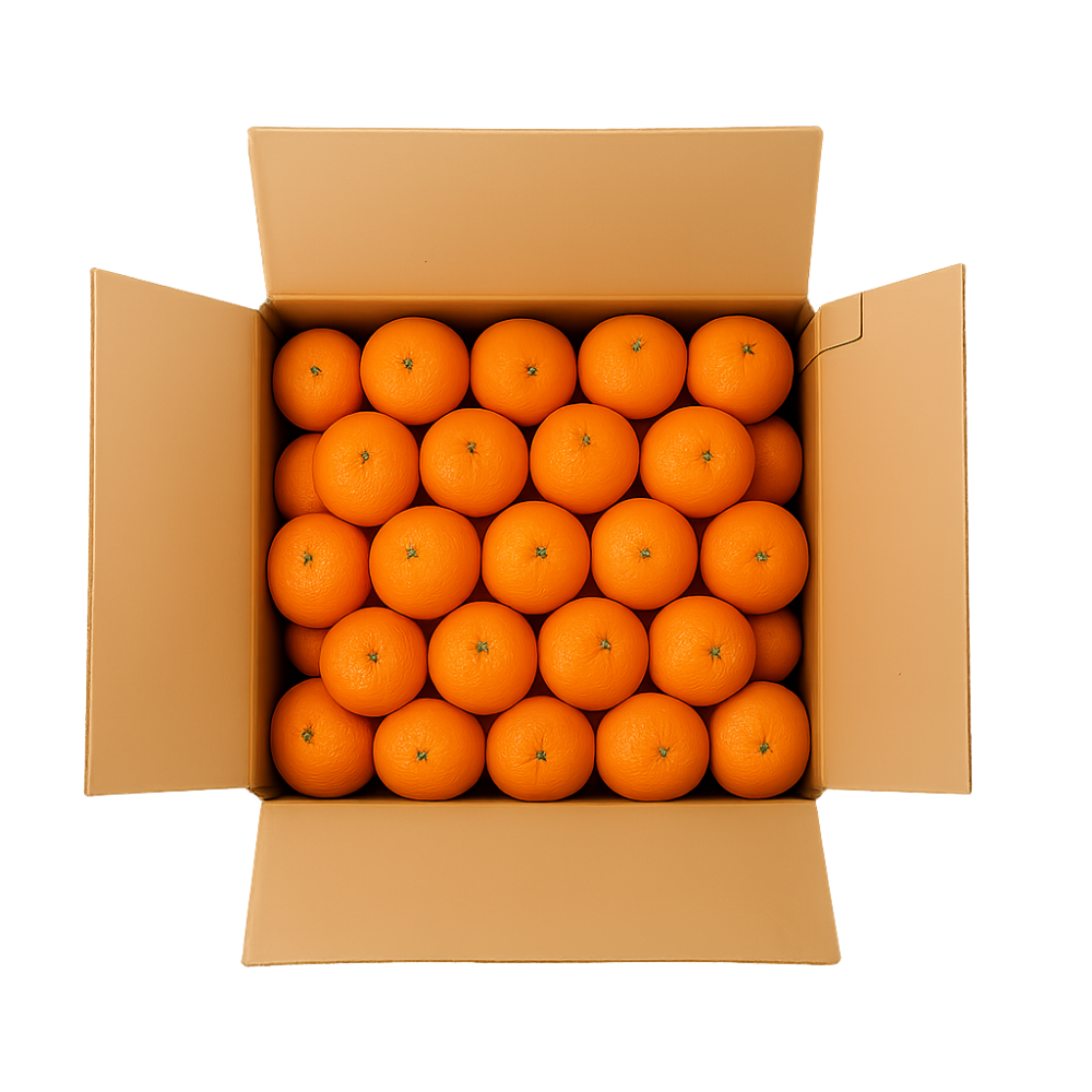 برتقال أبو صرة طازج