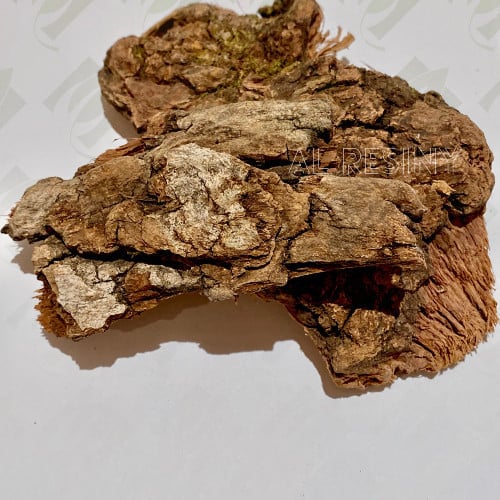 لحاء البلوط