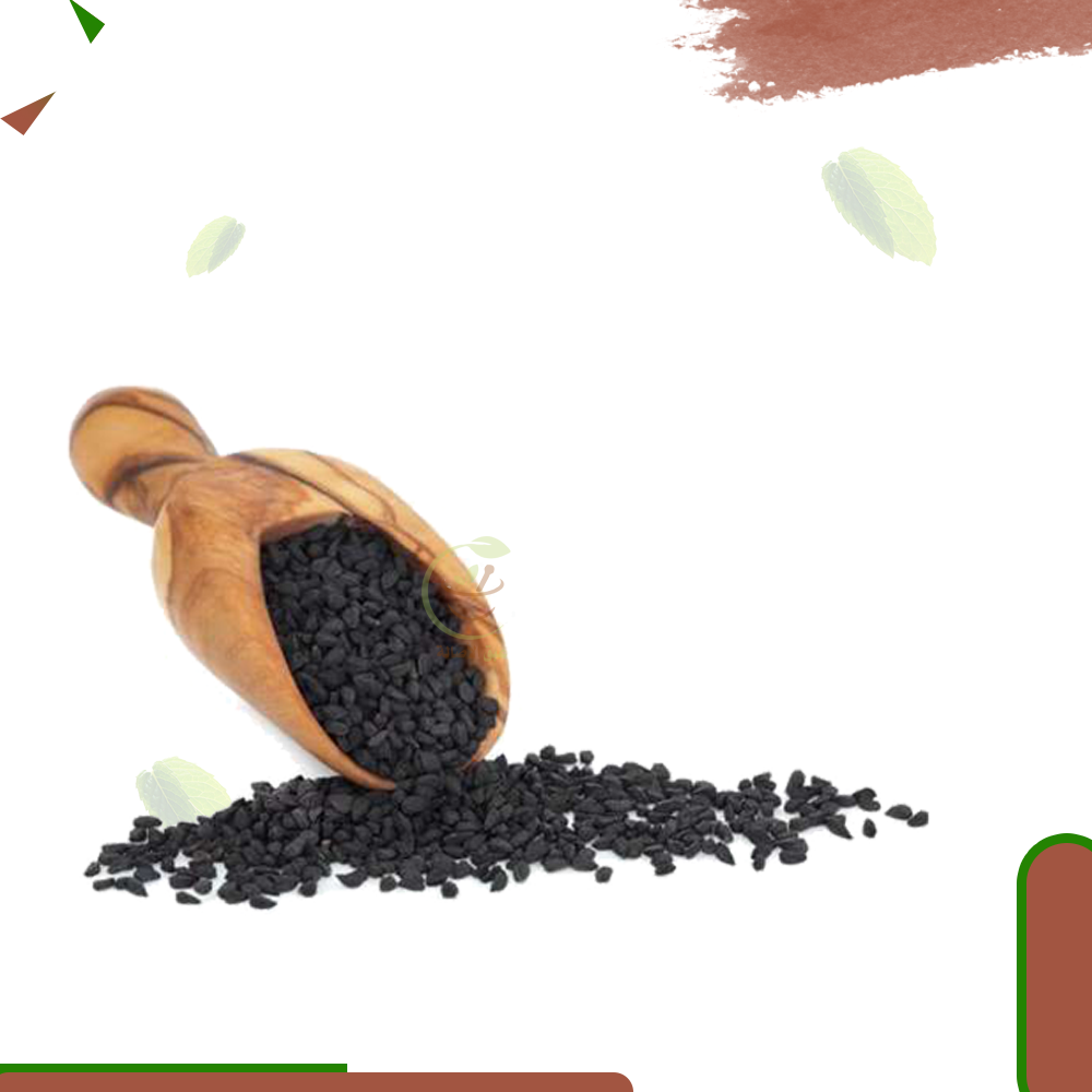بذور البصل