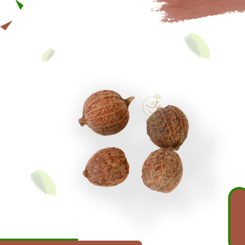 عشبة المنفلة(الوقيه)