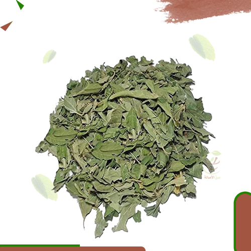 ورق سدر