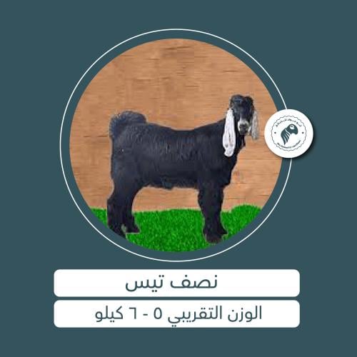 نص تيس - 6 أشهُر