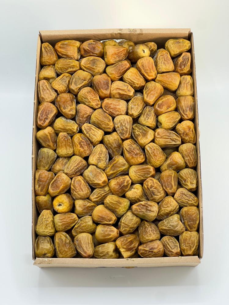 سكري مفتل ملكي