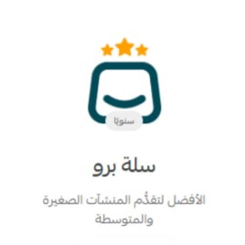 متجر إلكتروني جديد باقة سلة برو بصلاحية 233 يوم