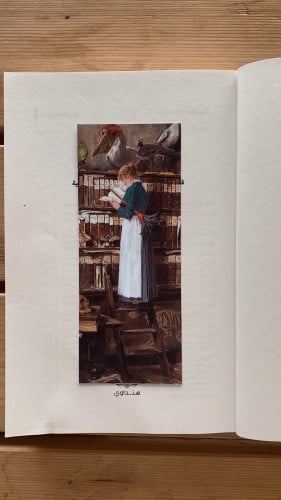 خادمة القراءة في مكتبة