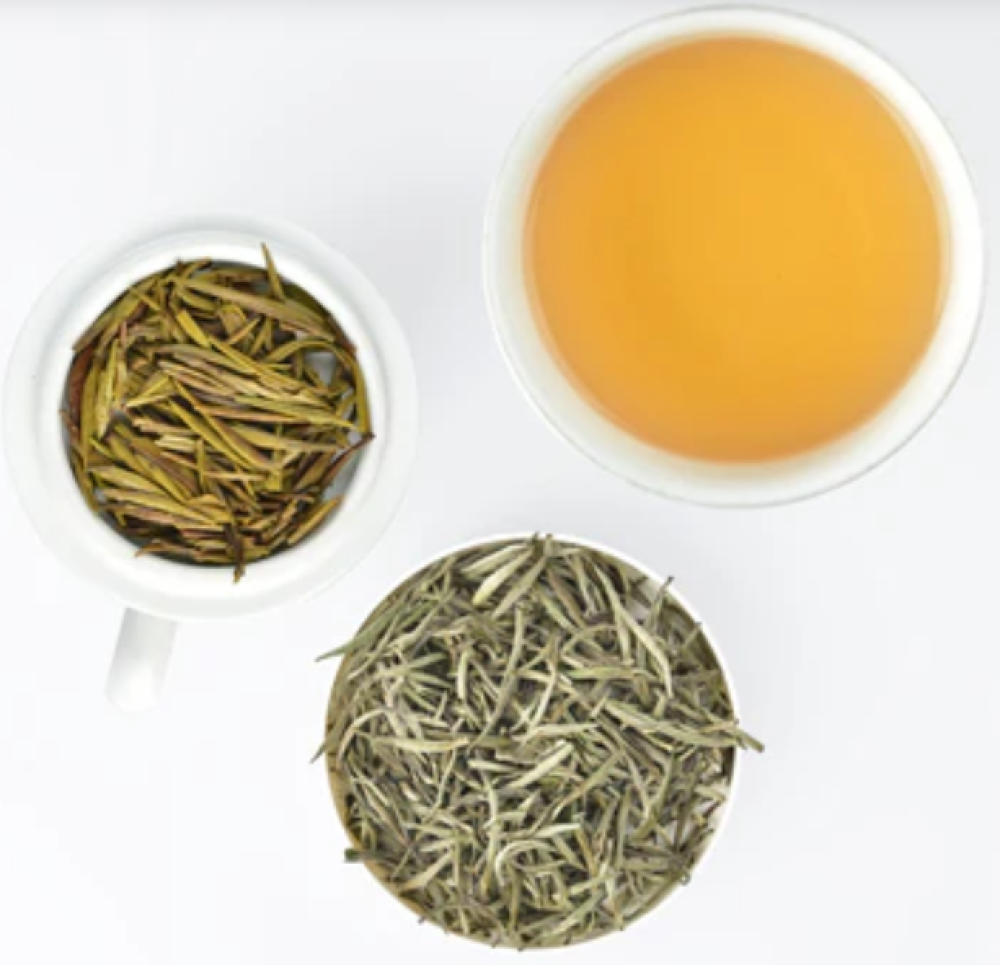 White Tea and Its Benefits – Does White Tea Contain Caffeine?