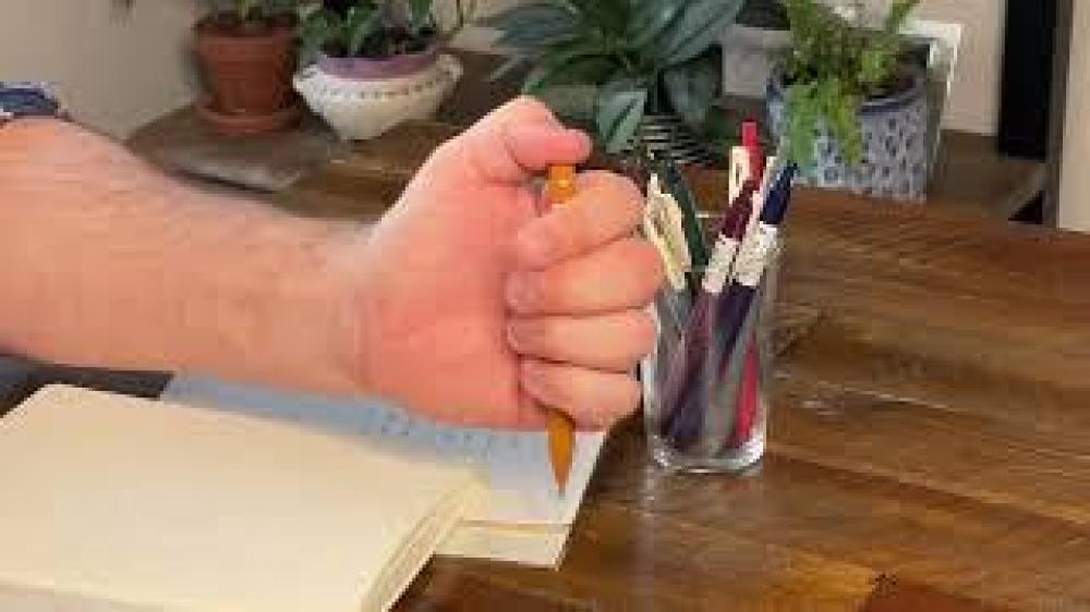 زيبرا قلم ساراسا كليب ضغاط 0.5 مم بنفسجي العلبة 10 أقلام