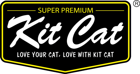 KIT CAT