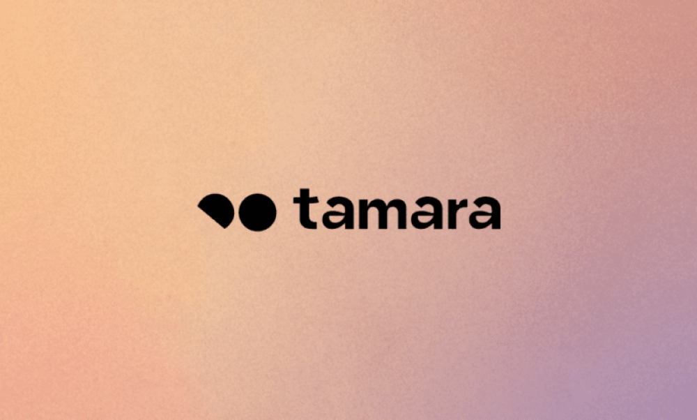 ماهي خدمة تمارا تقسيط ؟