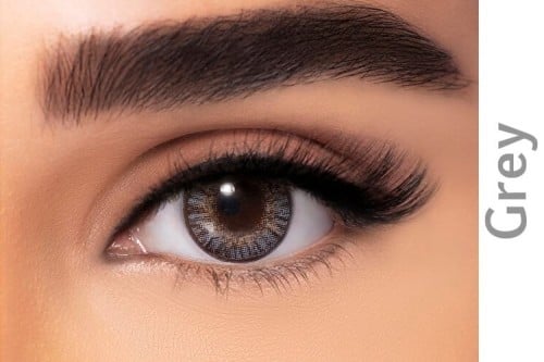 FreshLook color One Day Gray