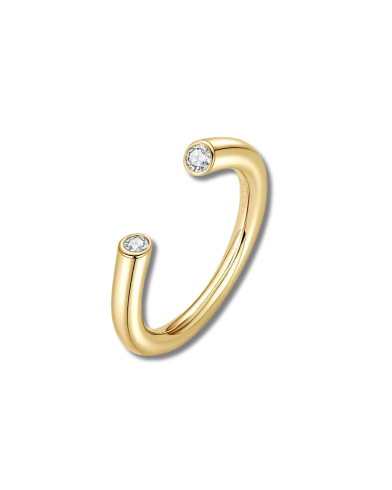 【未開封】Золотое Кольцо / GOLDEN RING Goldenring | RING Jewelry