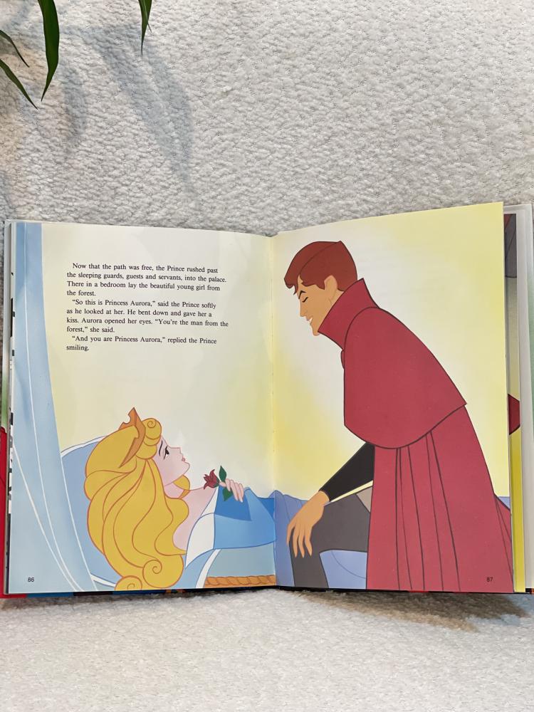 قصة مصورة -  الأميرة النائمة