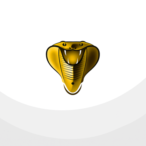 اشتراك كوبرا iptv لمدة سنه