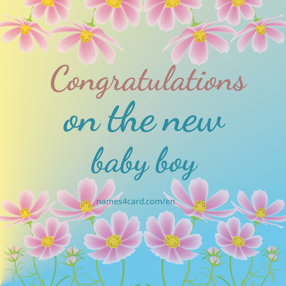 Congratulations on a new born baby boy - e19 - names4card