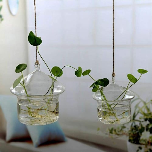 علاقي زرع H206