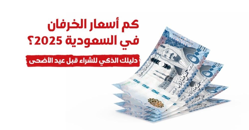 ‏كم أسعار الخرفان في السعودية 2025؟ دليلك الذكي للشراء قبل عيد الأضحى