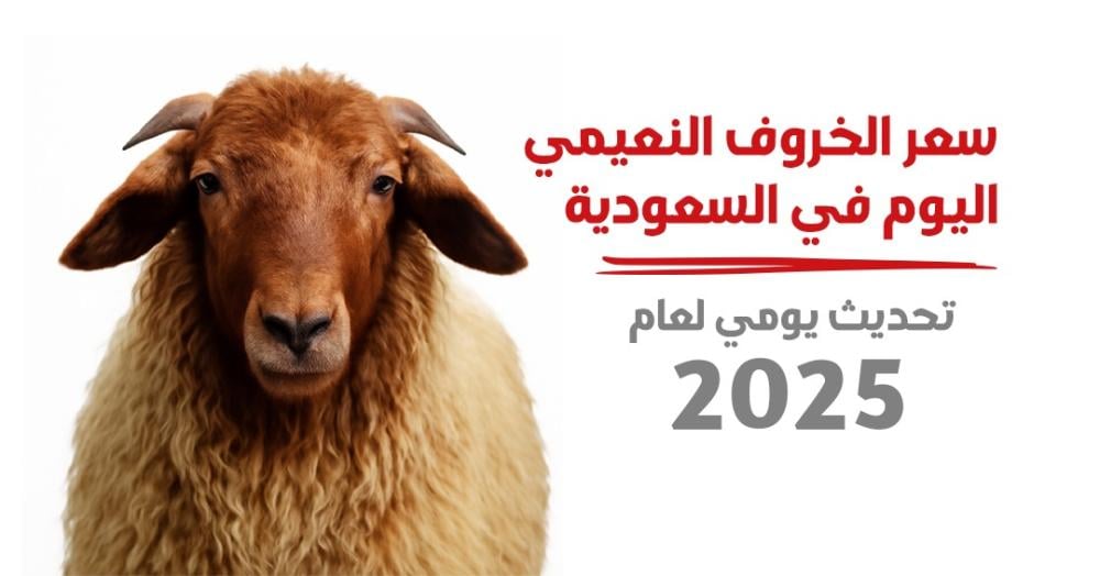 ‏سعر الخروف النعيمي اليوم في السعودية – تحديث يومي لعام 2025