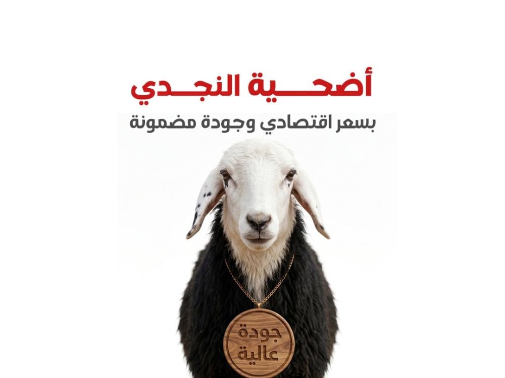 أضحية نجدي في السعودية | خروف فاخر للأضاحي والتوصيل