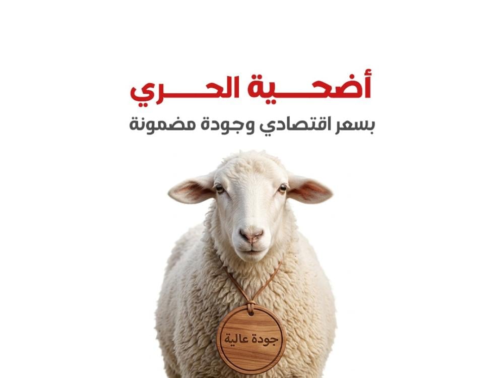 أضحية حري في السعودية | أفضل خيار اقتصادي للأضاحي