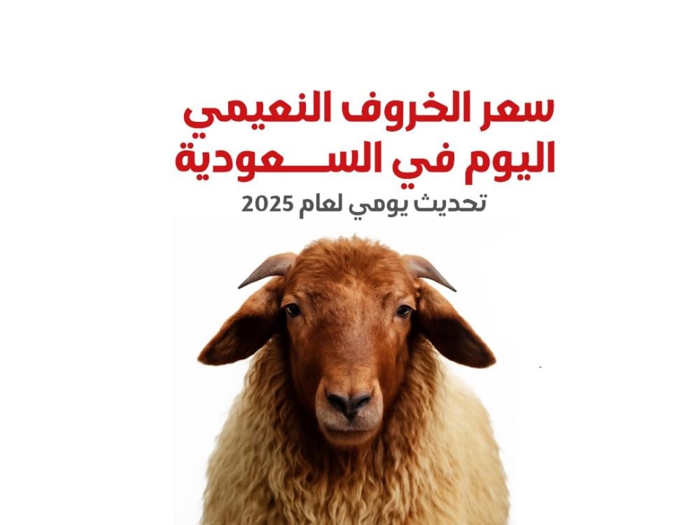 ‏سعر الخروف النعيمي اليوم في السعودية – تحديث يومي لعام 2025