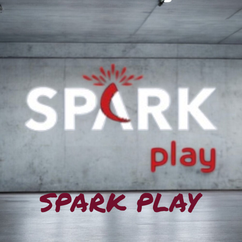 SPARK PLAY 6 Month