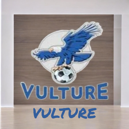 VULTURE TV 12 Months ( جهازين )